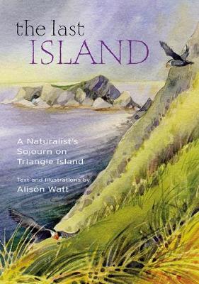 Book cover for The Last Island