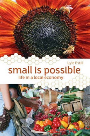 Cover of Small is Possible