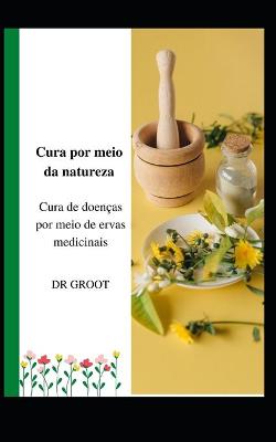 Cover of Cura por meio da natureza