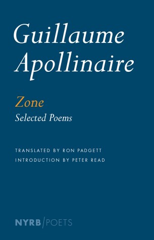 Book cover for Zone