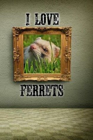 Cover of I Love Ferrets