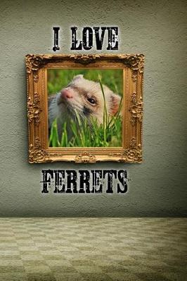 Book cover for I Love Ferrets