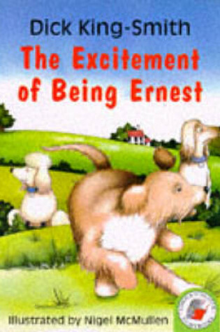 Cover of The Excitement Of Being Ernest