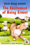 Book cover for The Excitement Of Being Ernest