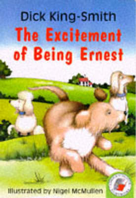 Book cover for The Excitement Of Being Ernest