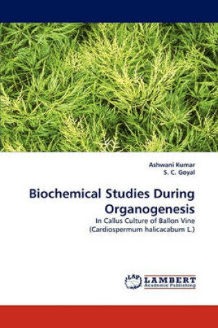 Cover of Biochemical Studies During Organogenesis