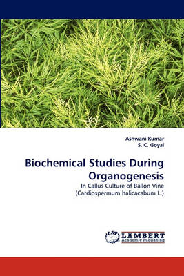 Book cover for Biochemical Studies During Organogenesis