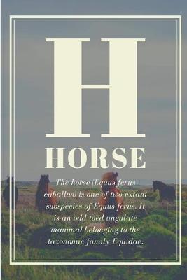 Book cover for H Horse