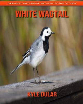 Book cover for White Wagtail! Learn about White Wagtail and Enjoy Colorful Pictures