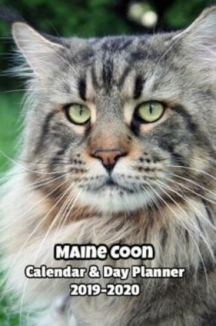 Cover of Maine Coon Calendar & Day Planner 2019-2020