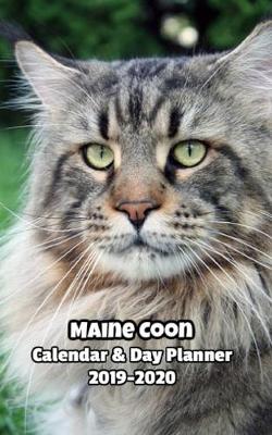 Book cover for Maine Coon Calendar & Day Planner 2019-2020