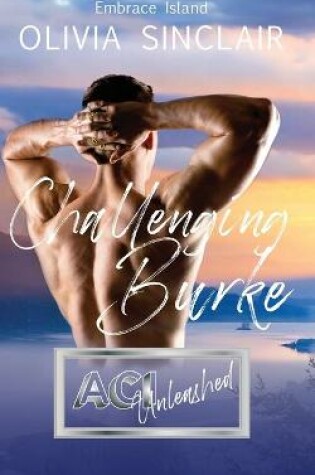 Cover of Challenging Burke