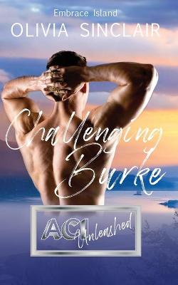 Book cover for Challenging Burke