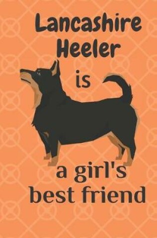 Cover of Lancashire Heeler is a girl's best friend