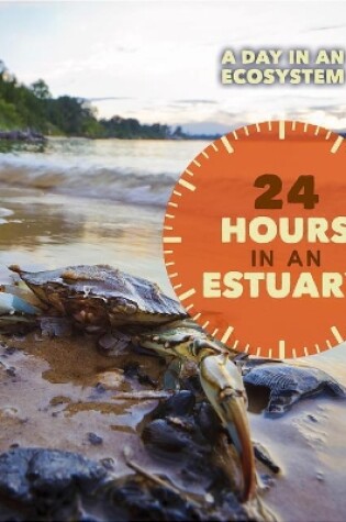 Cover of 24 Hours in an Estuary