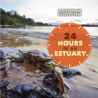 Cover of 24 Hours in an Estuary