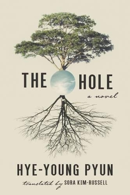 Book cover for The Hole