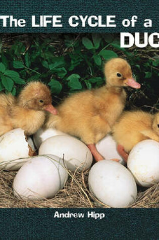 Cover of The Life Cycle of a Duck