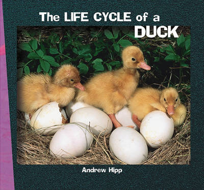 Book cover for The Life Cycle of a Duck