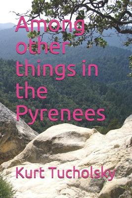 Book cover for Among other things in the Pyrenees