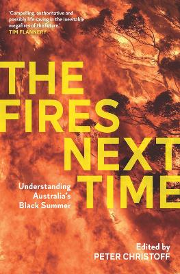 Book cover for The Fires Next Time