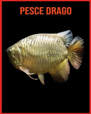 Book cover for Pesce Drago