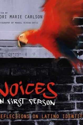 Cover of Voices In the First Person: Reflections On Latino Identity