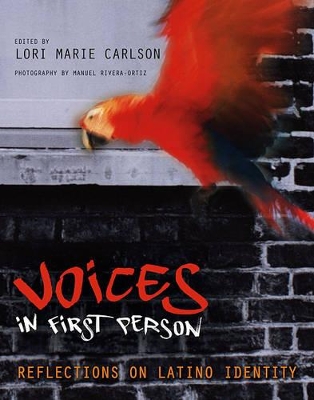 Book cover for Voices In the First Person: Reflections On Latino Identity