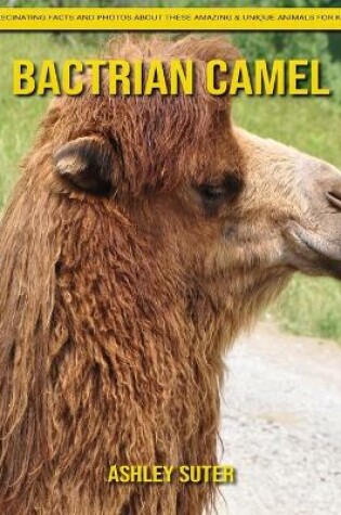 Cover of Bactrian camel