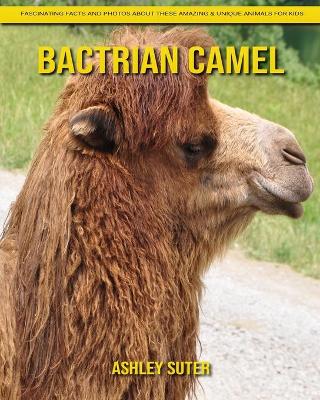 Book cover for Bactrian camel