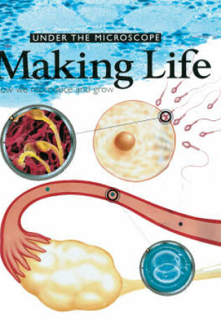 Cover of Making Life