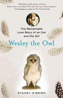 Book cover for Wesley the Owl