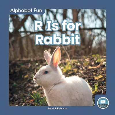 Book cover for Alphabet Fun: R is for Rabbit