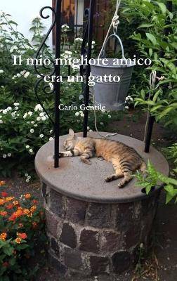 Book cover for Il Mio Migliore Amico Era Un Gatto