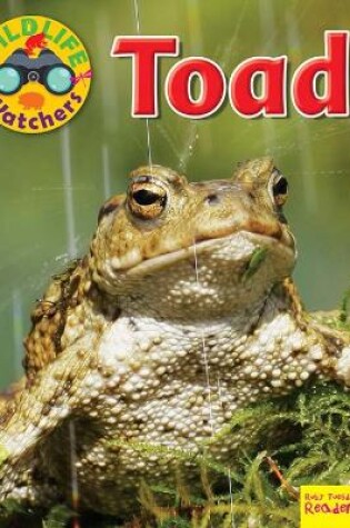Cover of Wildlife Watchers: Toad