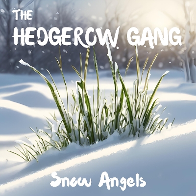 Book cover for Snow Angels