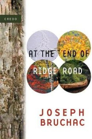 Cover of At the End of Ridge Road