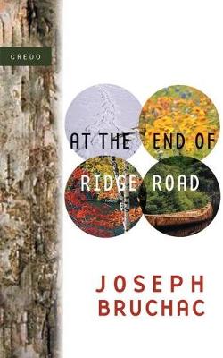 Book cover for At the End of Ridge Road