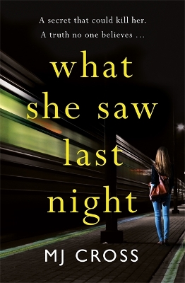 Book cover for What She Saw Last Night