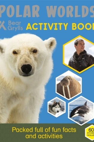 Cover of Bear Grylls Sticker Activity: Polar Worlds