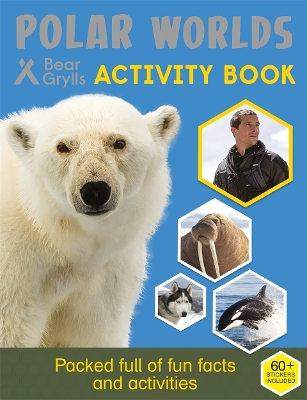 Book cover for Bear Grylls Sticker Activity: Polar Worlds