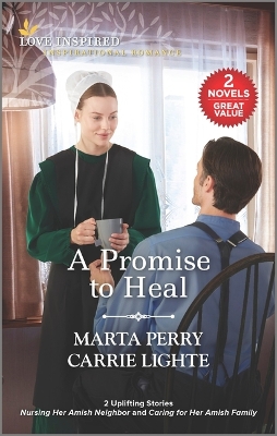 Book cover for A Promise to Heal