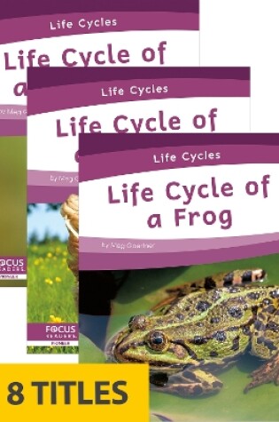Cover of Life Cycles (Set of 8)