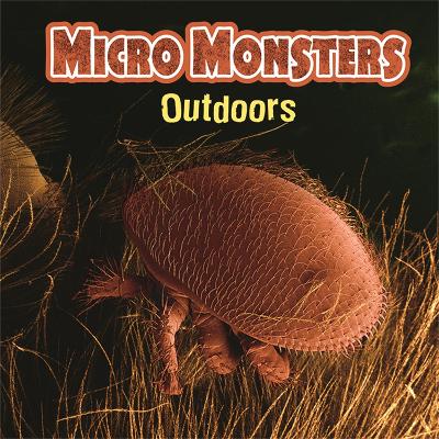 Book cover for Micro Monsters: Outdoors