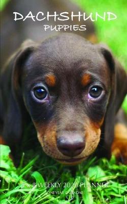 Book cover for Dachshund Puppies 5 x 8 Weekly 2020 Planner