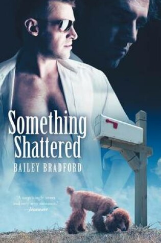 Cover of Something Shattered