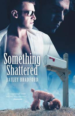 Book cover for Something Shattered