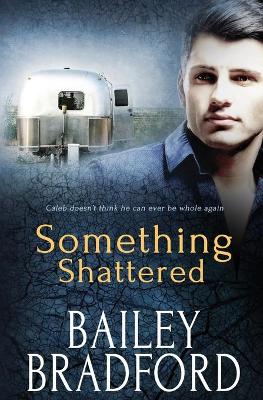 Book cover for Something Shattered