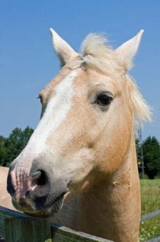 Cover of Tan Horse Portrait, for the Love of Horses