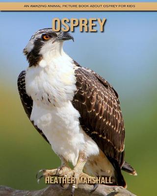 Book cover for Osprey